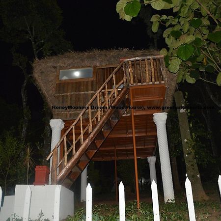 Green Ark Resorts Теккаді Номер фото