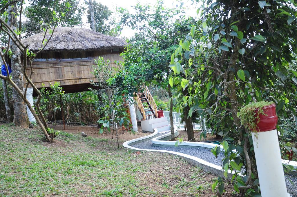 Green Ark Resorts Теккаді Екстер'єр фото